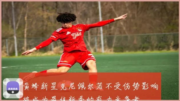 黄蜂新星克尼佩尔若不受伤势影响将成为最佳新秀的有力竞争者