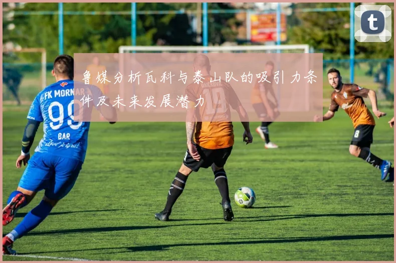 鲁媒分析瓦科与泰山队的吸引力条件及未来发展潜力